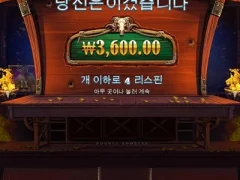 카우보이코인스 지하가겠네