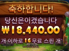 릴리즈더바이슨 16스핀