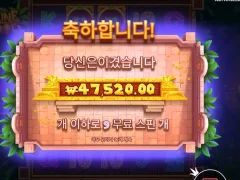 포춘 힛 앤 롤 240배