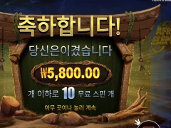 아프리칸엘리펀트 10스핀 ㅈ가튼새기