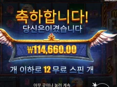 프라그마틱 마이트 오브 프레야 500배