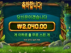 온라인슬롯 팀버스택스 후기
