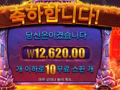 바이킹포지 10스핀
