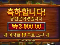 버팔로킹언테임드 맛이 갔네