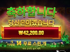 휠 오골드 42천원