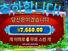 5프로즌 참 메가웨이즈 6스핀