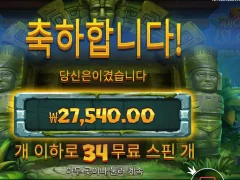 점심값 메꾸기 앤시엔트아일랜드