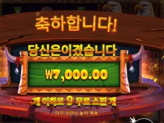 와일드 바이슨 차지 9바퀴