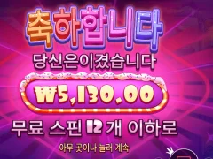 슈가러쉬 쫄딱 망했네