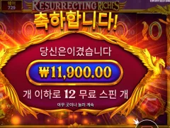 온라인슬롯 레저렉팅 리치스