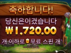 릴리즈바이슨 8스핀