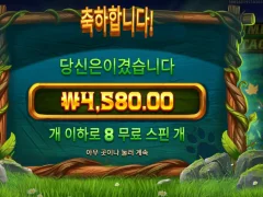 팀버스택스 8스핀 반타작