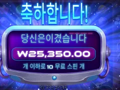 그래비티보난자 25천원