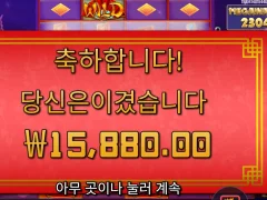플로팅 드래곤 후기