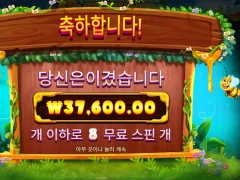 3 버징 와일드 4콩 배팅