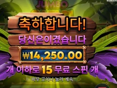 프라그마틱 점보 사파리 후기