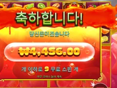 쥬시 후르츠 멀티홀드 후기