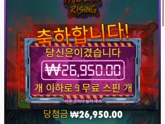 판데믹라이징 후기