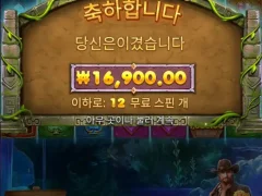 버뮤다리치스 12스핀 묻고 더블로 가