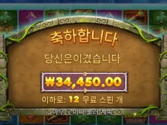 버뮤다리치스 12스핀 3콩