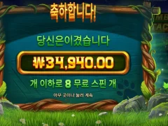 팀버스택스 짭짤하네