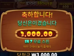 개집 바닥