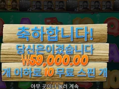빅배스보난자 만족못하는 배당