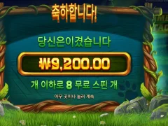 팀버스택스 8스핀 후기