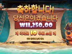 개집좀 누가 가져가라~