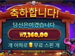 스카이 바운티 8스핀
