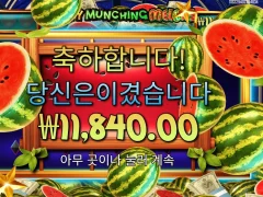 마이티 먼칭 멜론 후기