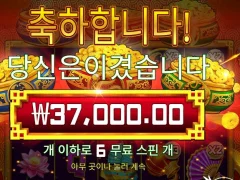 트리플팟골드 6스핀 후기