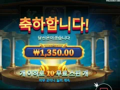 메두사스톤 바닥