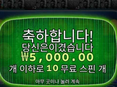 온라인슬롯 빅베스미션피싱 10스핀