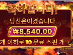 캐시칩스 점점 가벼워지는 지갑