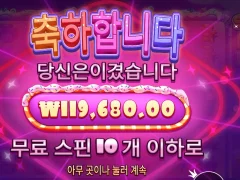 슈가러쉬 1000 후기