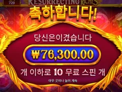 너로정했다 리저렉트리치