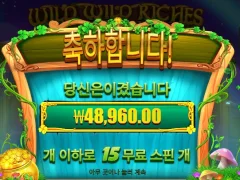 와일드 리치즈 리턴즈 15스핀 후기