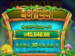 와일드 리치즈 리턴즈 10스핀 나쁘지 않은 배당