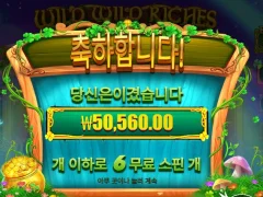 와일드리치즈리턴 빅윈