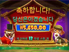 도그하우스 지하로열층이네