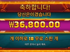 사바나레전드 18스핀