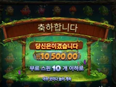 에헤이 조졌네 프루츠오브더아마존