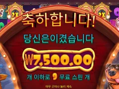도그하우스 멀티홀드 바닥