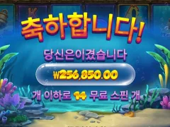 비웨어더딥메가웨이즈 따뜻한 배당