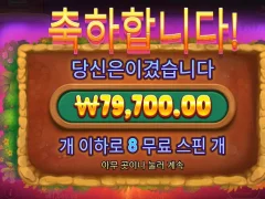 몰리네어 8스핀 개이득