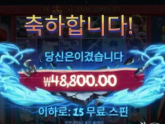 신사임당으로 만족한다 파워오브닌자