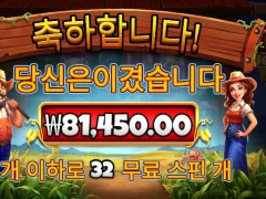 반야드메가헤이즈 결과