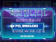 온라인슬롯 사이버헤이스트 후기ㅅ