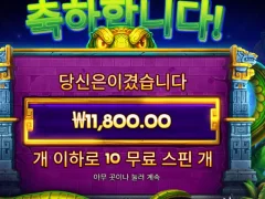 프라그마틱 아나콘다골드 후기